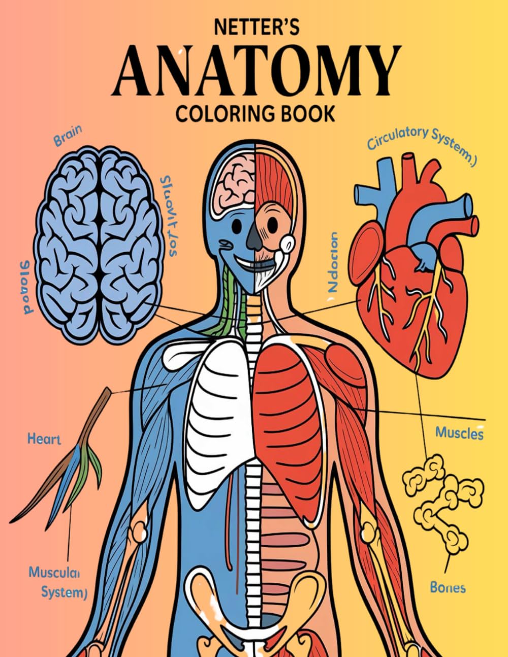 netter's anatomy coloring book: Incredibly Detailed Self-Test