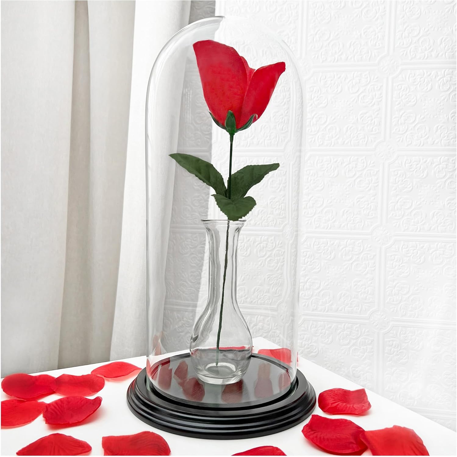 Plymor 5.5" x 13" Glass Display Dome Cloche (Black Wood Veneer Base)
