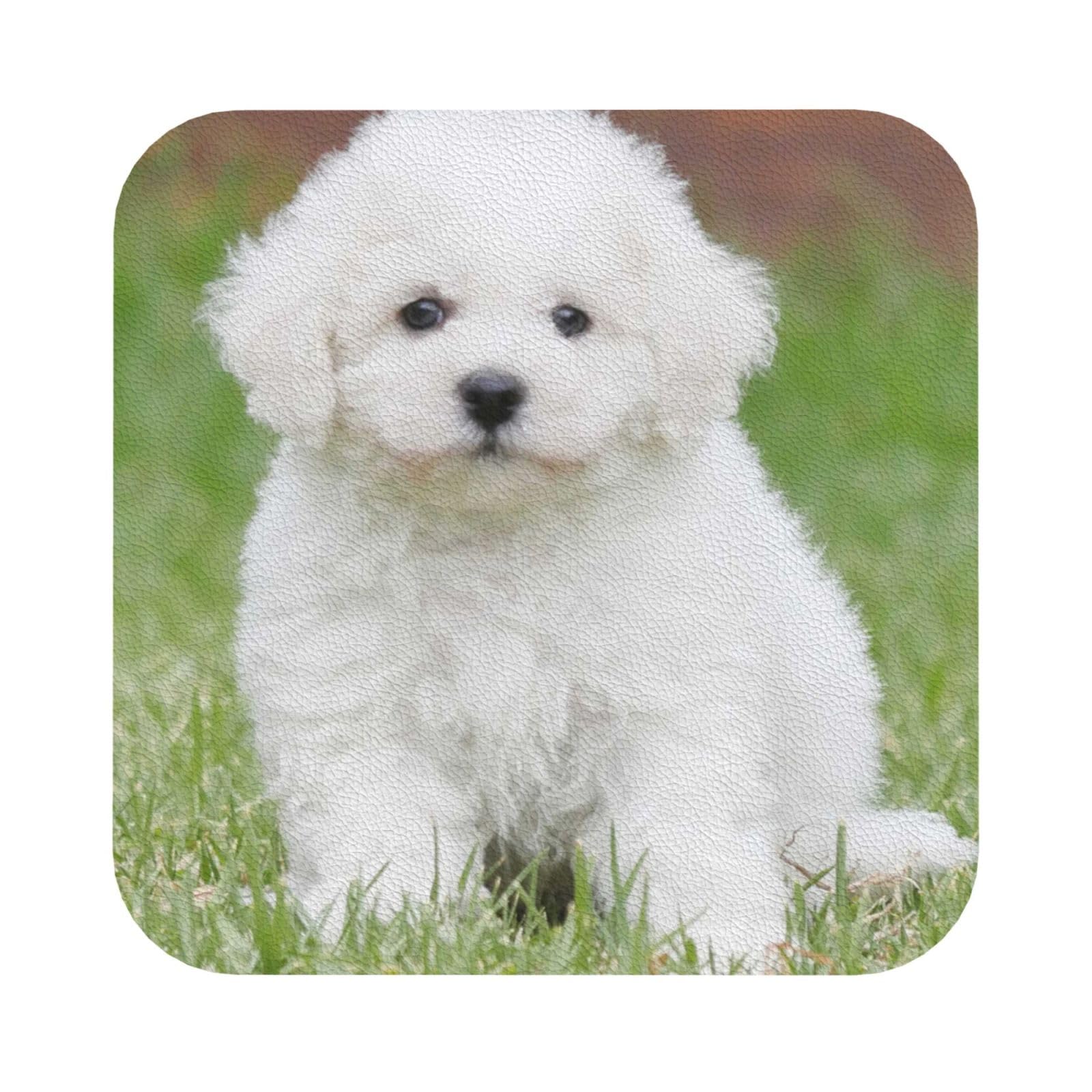 Bichon Frise Dog PU Leather Coasters Set of 6 Square Drink Coasters