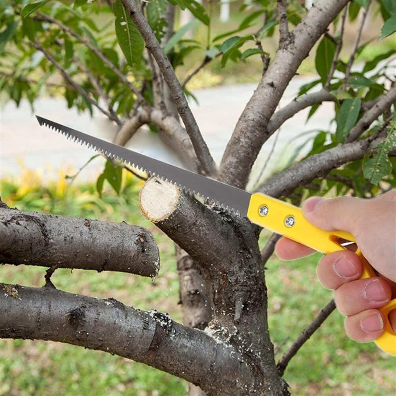 Handsaws， Portable Hand Saw Mini Trimming Saw Garden Pruning Horticulture Cutting Saw For Garden Greenhouse Hand Saw Tool Sawmill
