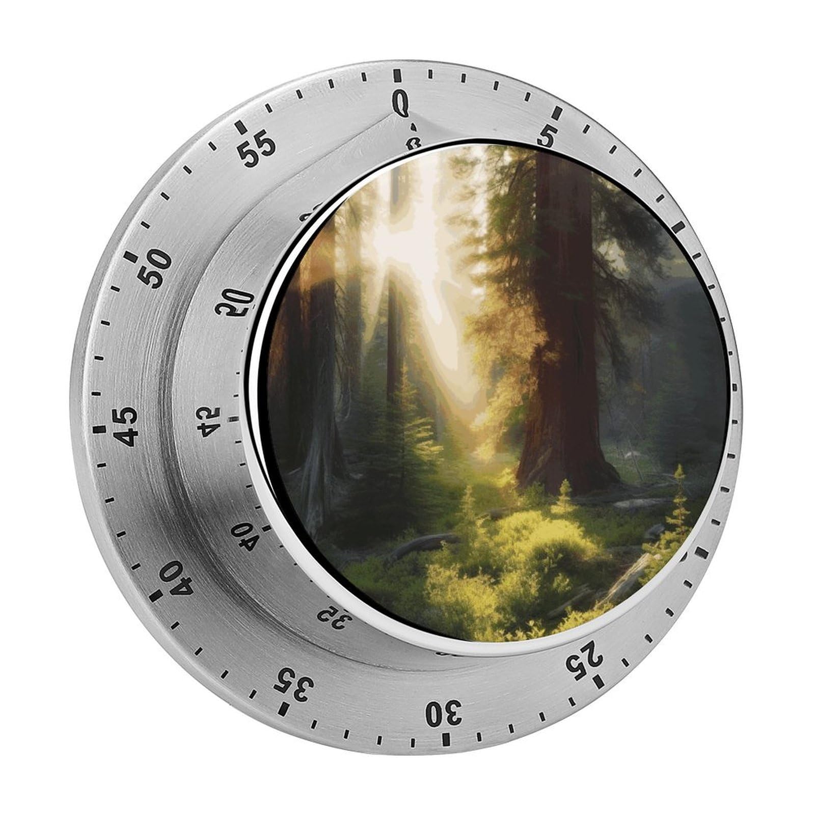 Morning Sunlight in Wilderness Timer Exquisite Stainless Steel Magnetic Timers Waterproof Durable Mechanical Countdown Countup for Loud Alarm for Baking Grilling Studying