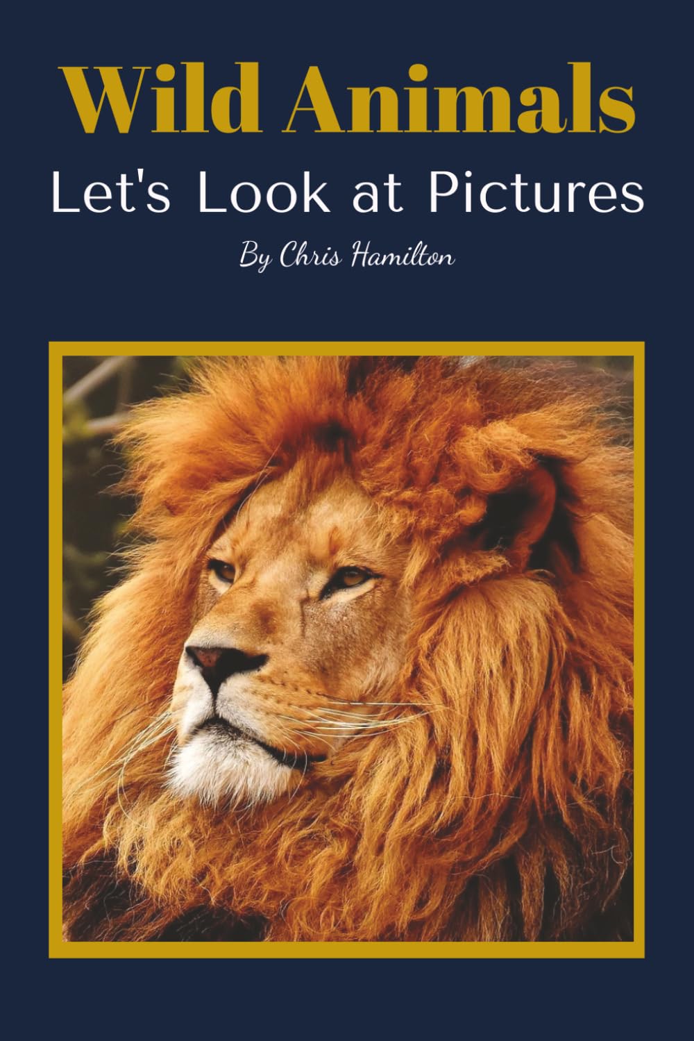 Wild Animals: Let's Look at Pictures