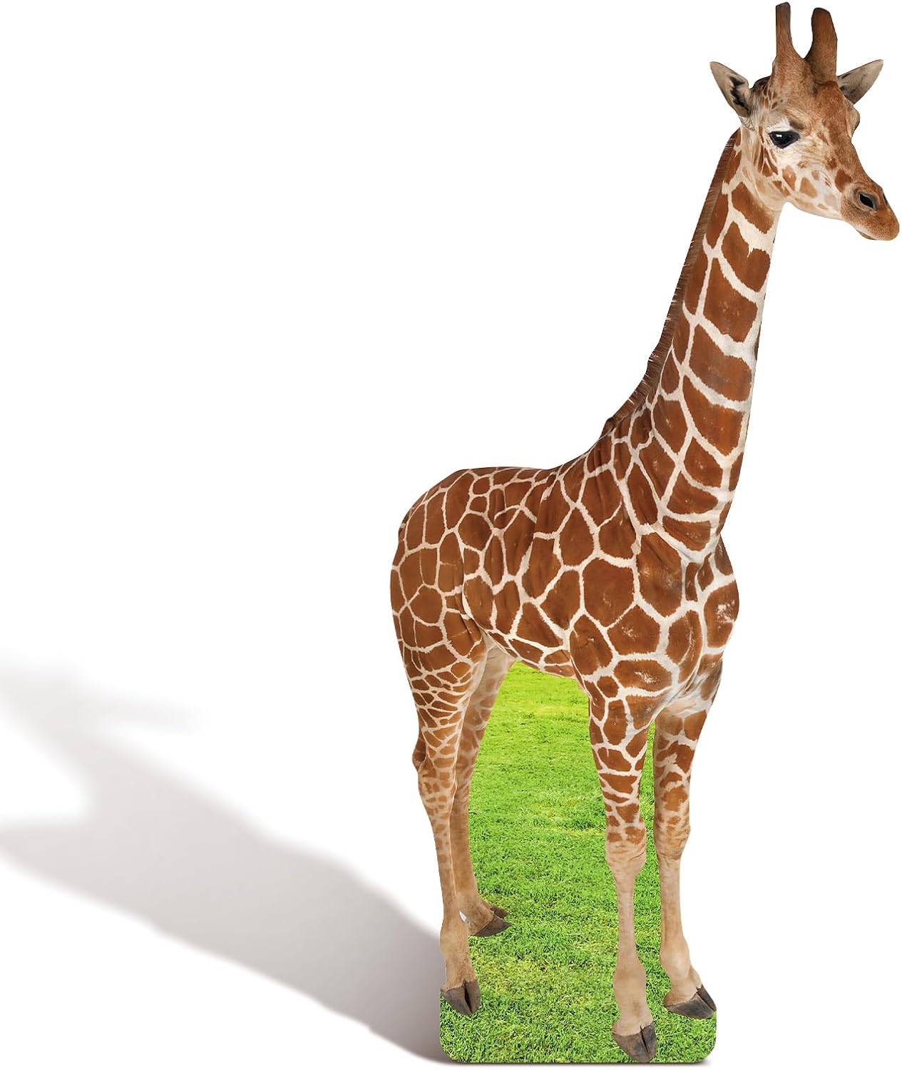 5FT Giraffe Cardboard Cutout Life-Size Animal Cutout Realistic Safari Jungle Photo Booth Prop Decor for Parties, Zoo-Themed Events, Classrooms, Birthday Decoration Supplies 28.39 x 59.06 Inches