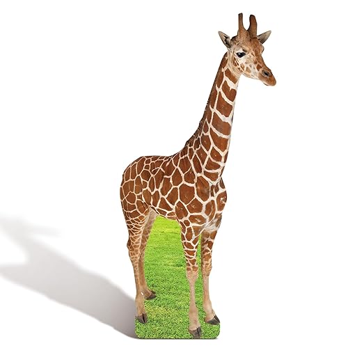 5FT Giraffe Cardboard Cutout Life-Size Animal Cutout Realistic Safari Jungle