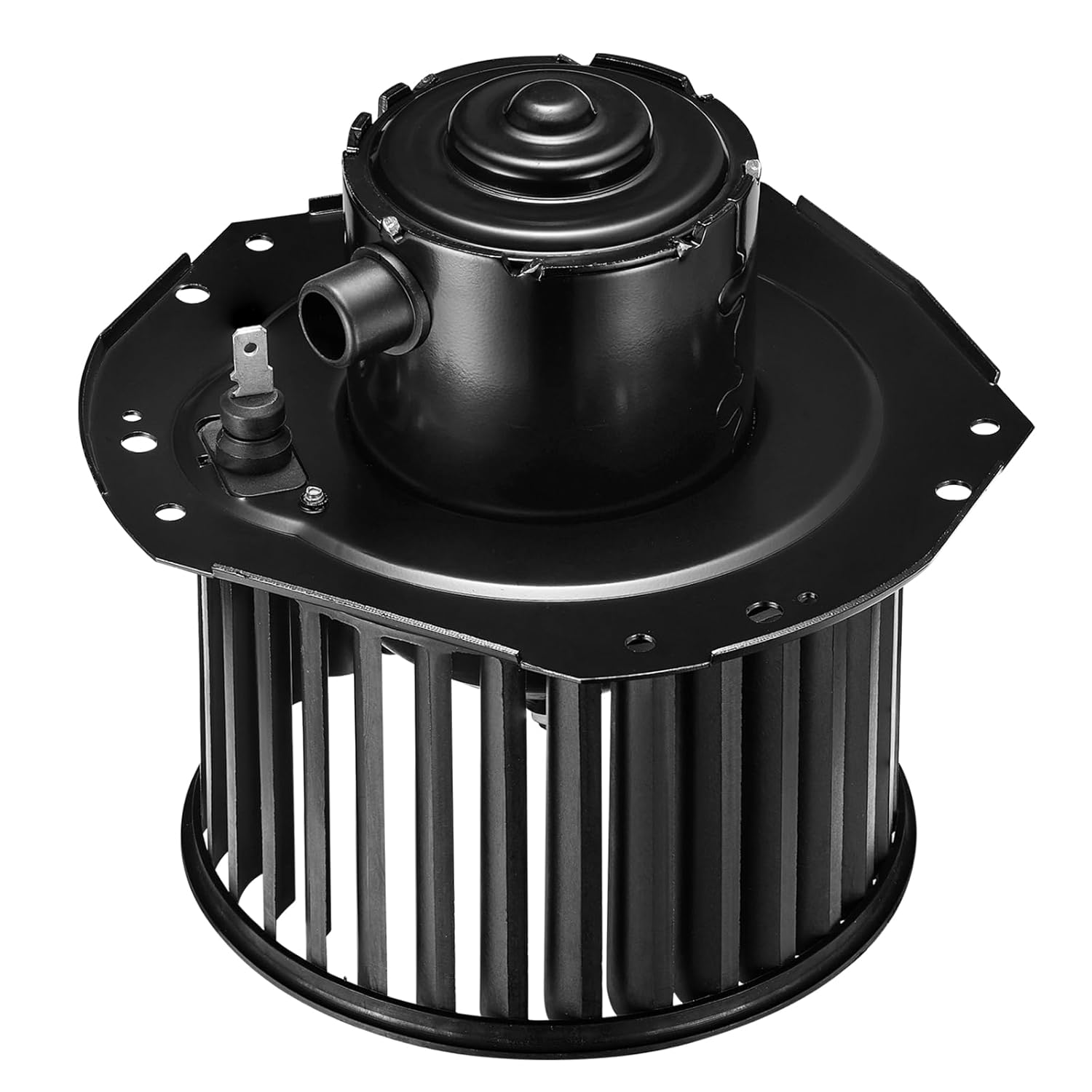 718EeP1kJQL._SL1500_.jpg