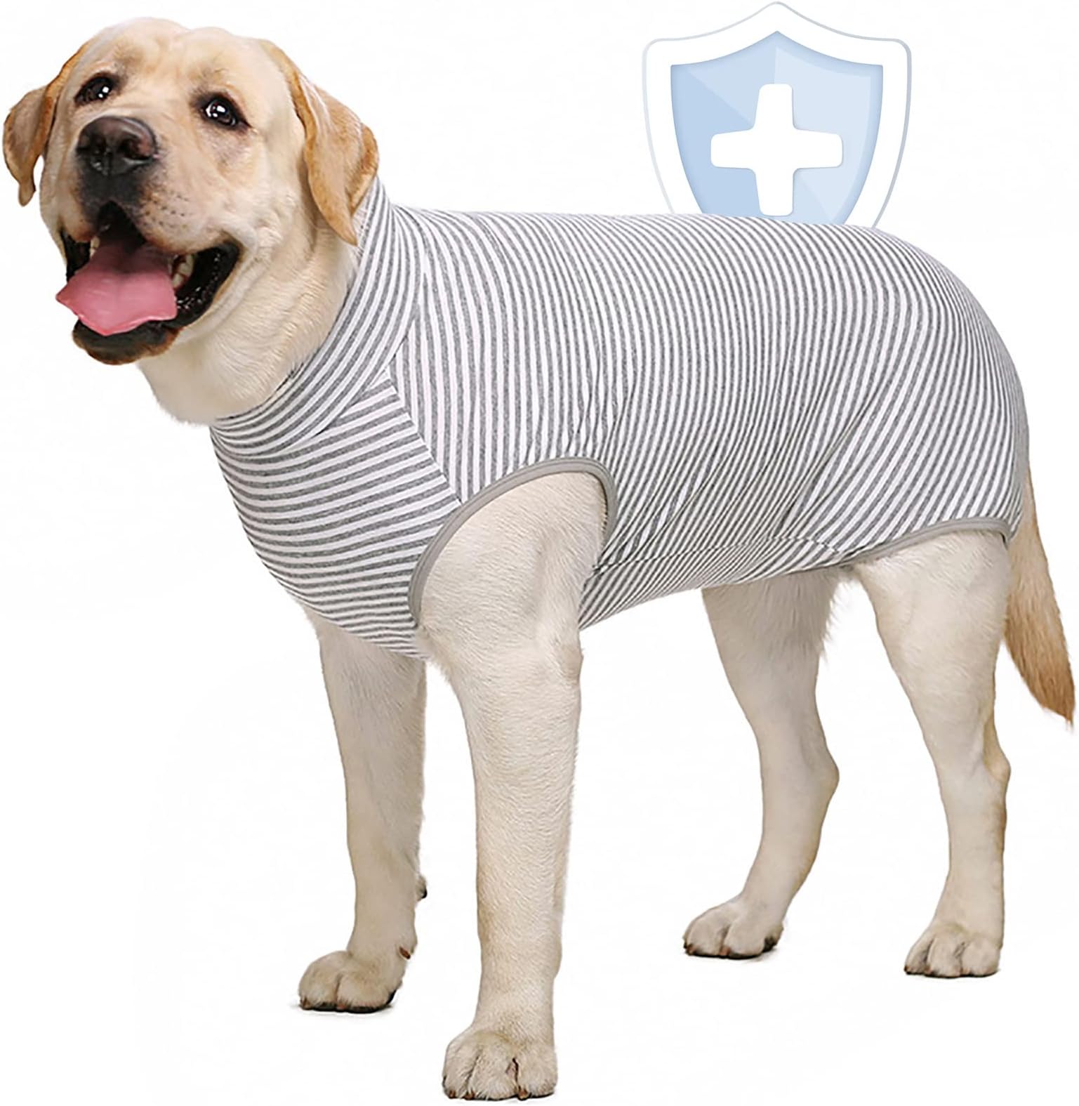 AOFITEE Dog Recovery Suit, Surgical Recovery Suit for Dog