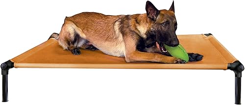 Miniatura 12 de Starmark Dog Zone Cama XL Carbón vegetal Carbón vegetal,Azul-cielo,Dorado (Sunset Gold)