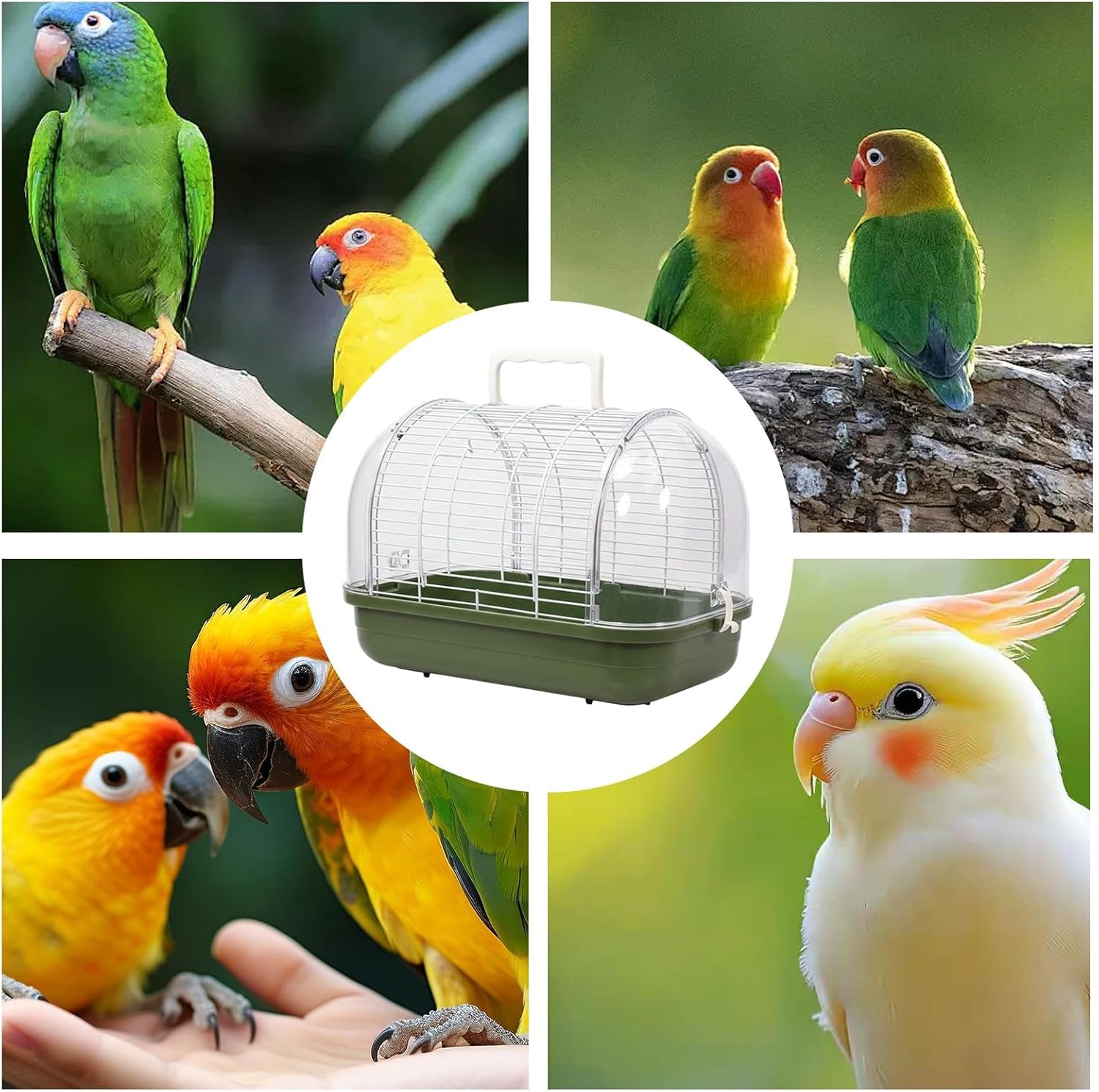 Bird Carrier, Compact Travel Cage, Standing Perch with Clear Window, Portable Travel Bird Cage for Parakeets, Cockatiels, Bearded Dragons, Safe Transport, Outdoor Trips or Veterinary Visits