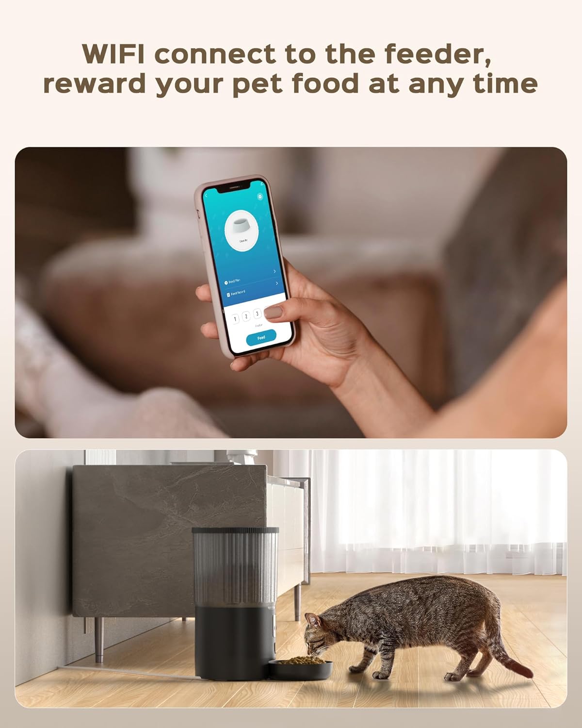 Smartphone screen showing the pet feeder app interface and a cat eating from the feeder.
