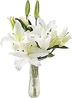 Vista 16 de Ramo de lirio blanco (8 tallos) - Con jarrón
