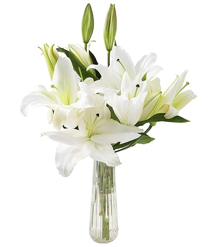 Miniatura 3 de KaBloom Flowers - Colección del Día de la Madre - Ramo de 5 lirios orientales blancos sin jarrón - Regalo para cumpleaños, aniversario,