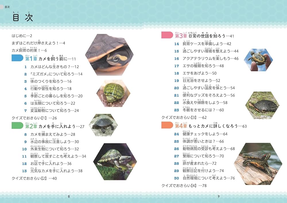 小学生でも安心! はじめてのカメ 正しい飼い方・育て方 (まなぶっく
