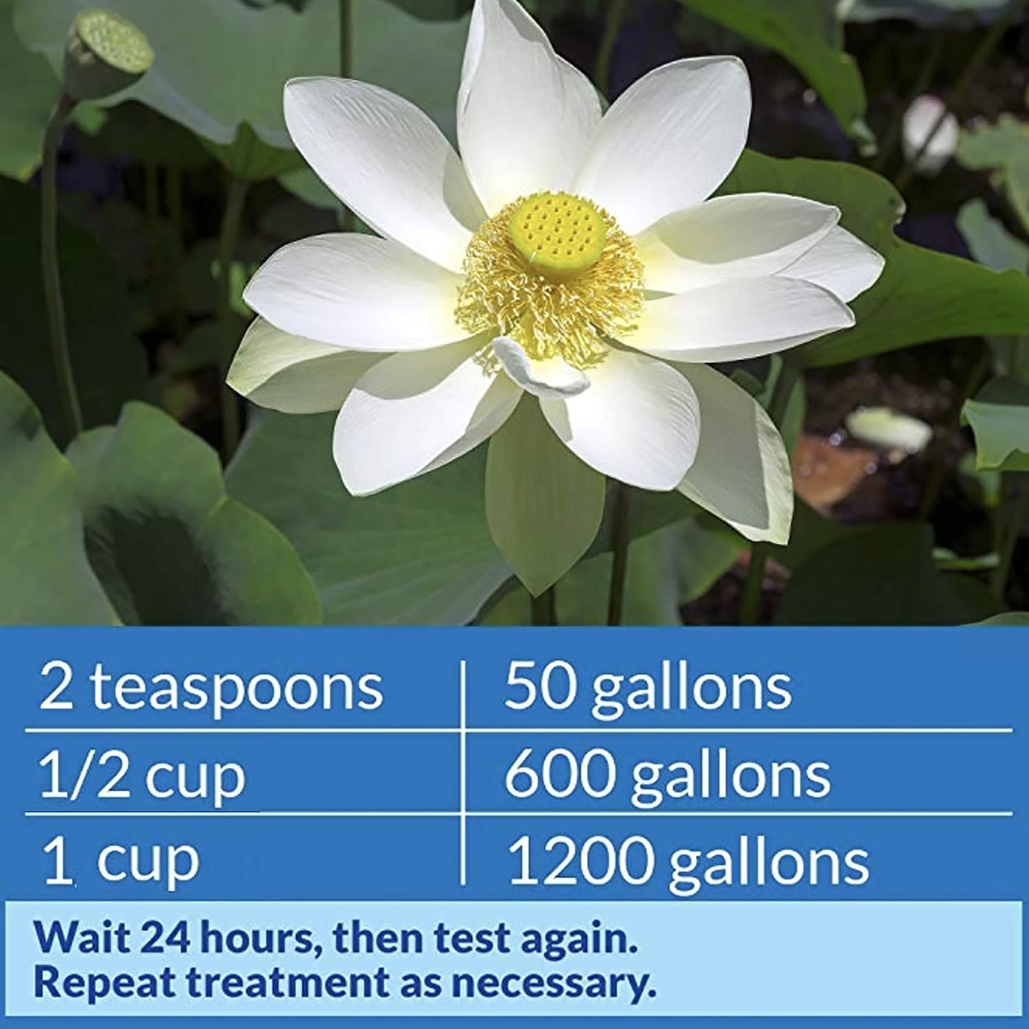 API POND pH UP Pond Water pH Raising Solution 16-Ounce Bottle
