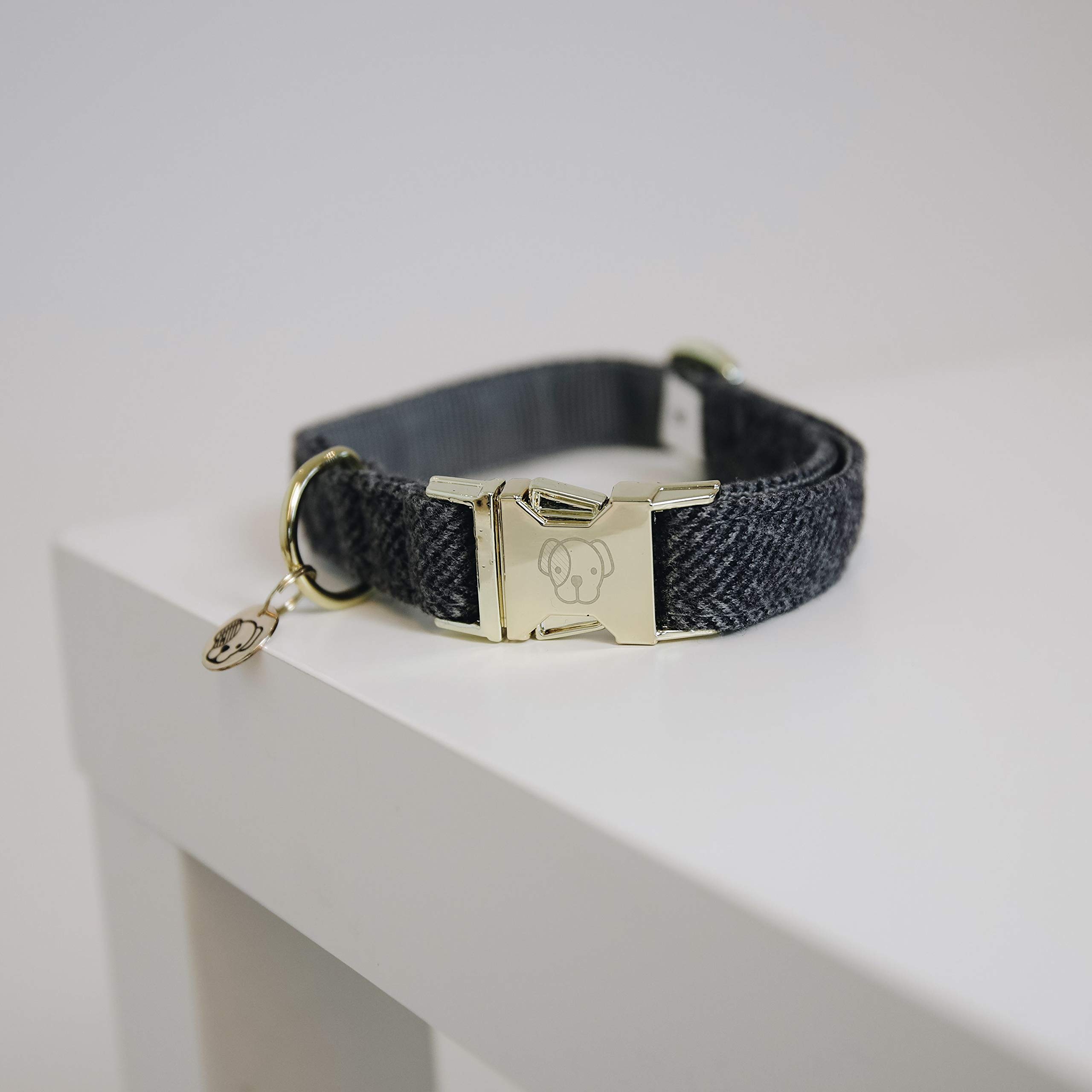 Collier pour chien Kentucky Dogwear en laine gris taille S