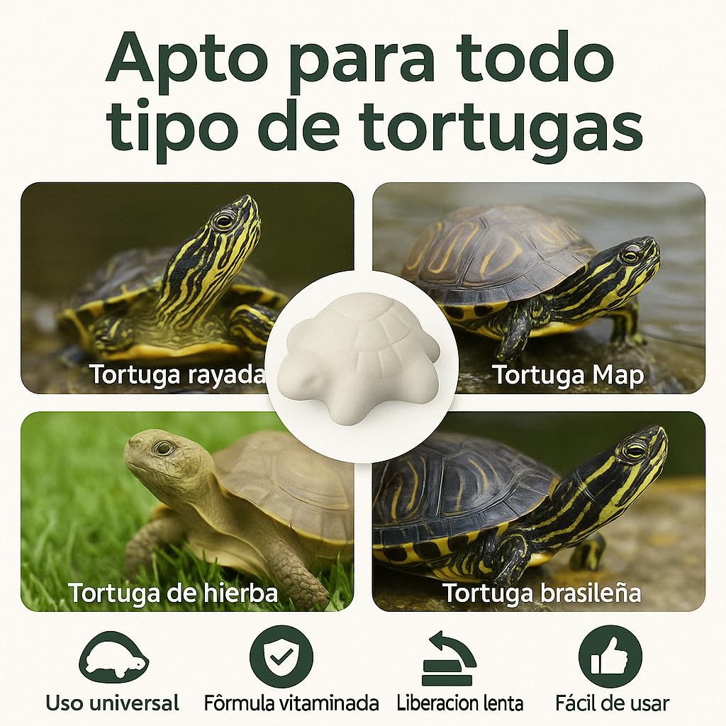 Moly Lot de 30 Blocs de Calcium vitaminé pour Tortues d'eau | Comprimés de carbure de Calcium dissolubles dans l'eau à libération Lente pour Tortues | Renforce la Carapace | Neutralise Le pH de