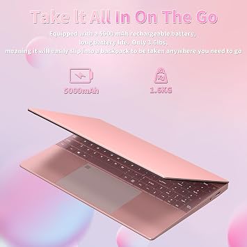 15.6 Rose Gold Laptop Computer for Work and Study 16GB RAM 1TB SSD