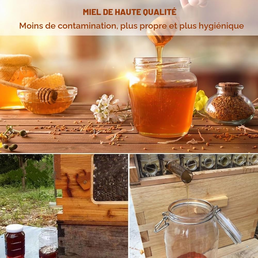 Beehive Kit de ruche automatique en bois avec 7 nids d'abeilles et cadre de qualité alimentaire sans BPA pour débutants et apiculteurs professionnels