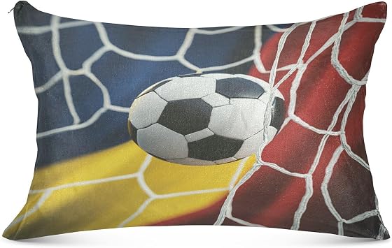 Ball Soccer Net Sepia Pillowcase for Hair and Skin Body Plush Pillow Case King Size 20"X 40" Flannel Pillowcases with Zipper for Men