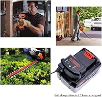 Vista 5 de Lasica Compatible con cargador de batería de litio Black and Decker de 20 V LCS1620B Compatible con batería de litio Black & Decker de 20 V Max