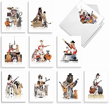 The Best Card Company - 20 Assorted Bulk Animal Cards Boxed 4 x 5.12 Inch 10 Designs, 2 Each - Animal Bands AM9508OCB-B2x10