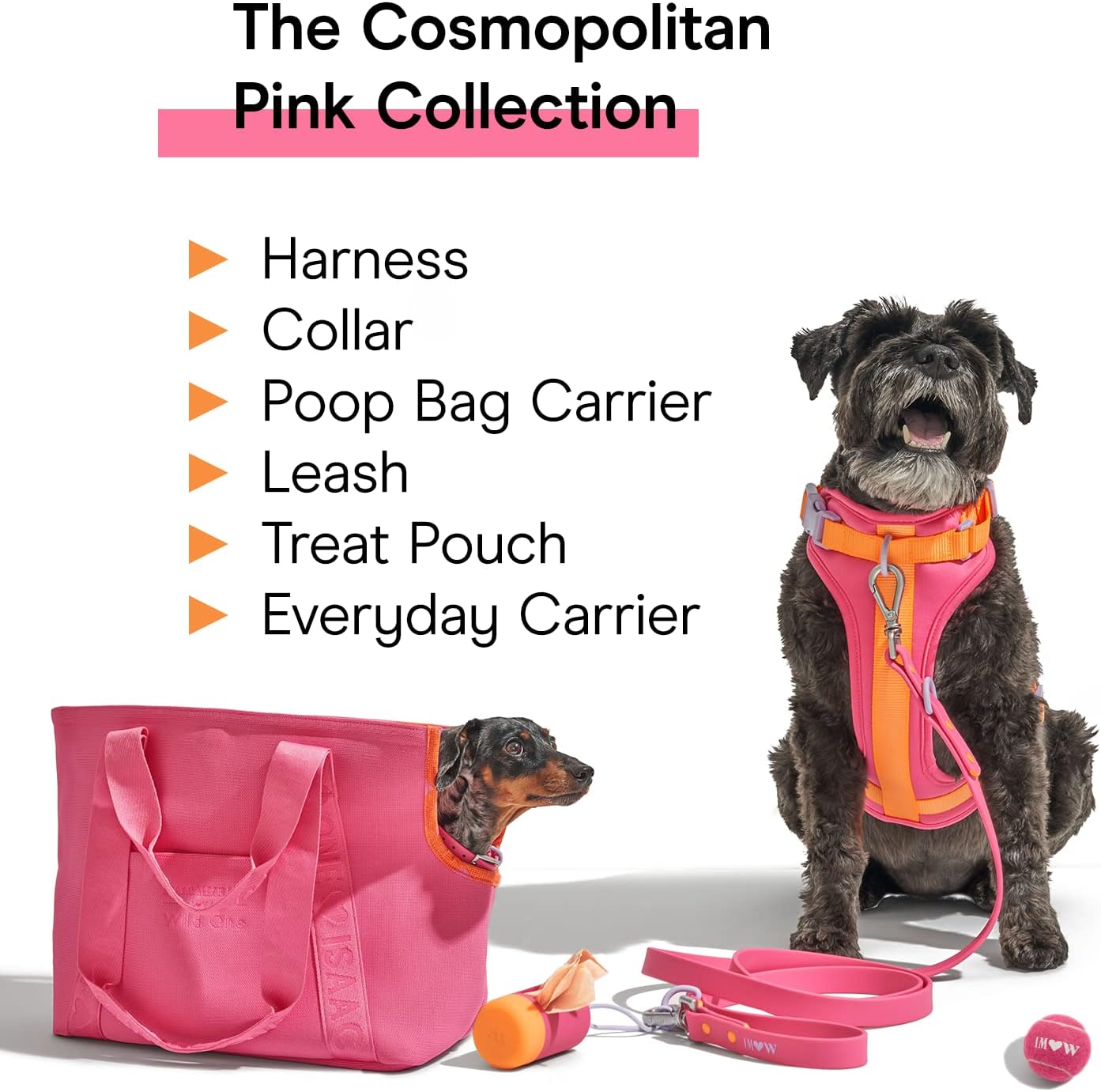 Wild One, Limited Edition, Designer Collection, Pink Dog Collar, Easy-Clean, All Weather Flex-Poly Strap with Metal, Durable, Dirt and Odor Resistant, Medium