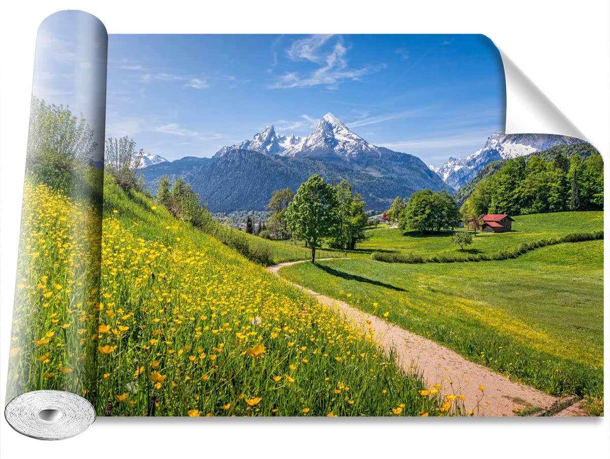 Papier peint Alpes Tulup camoufle les défauts muraux et protège le salon
