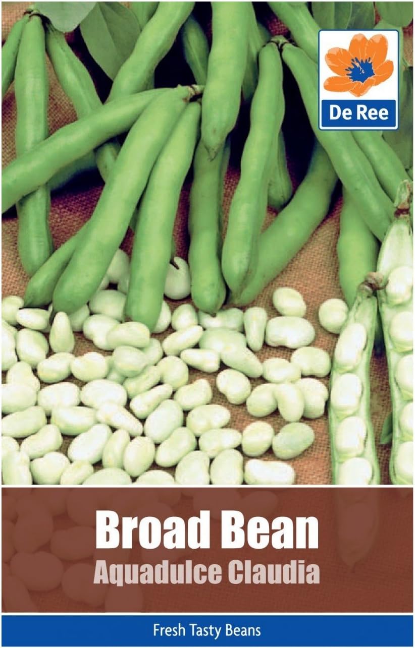 Broad Bean Aquadulce Claudia Seeds