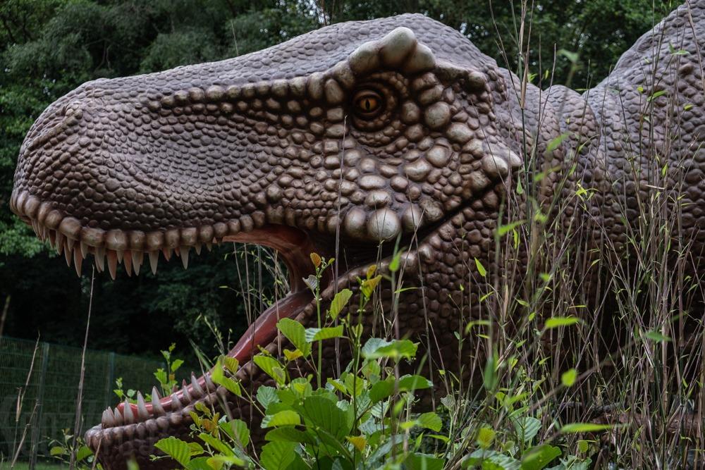 Excellent photo quality