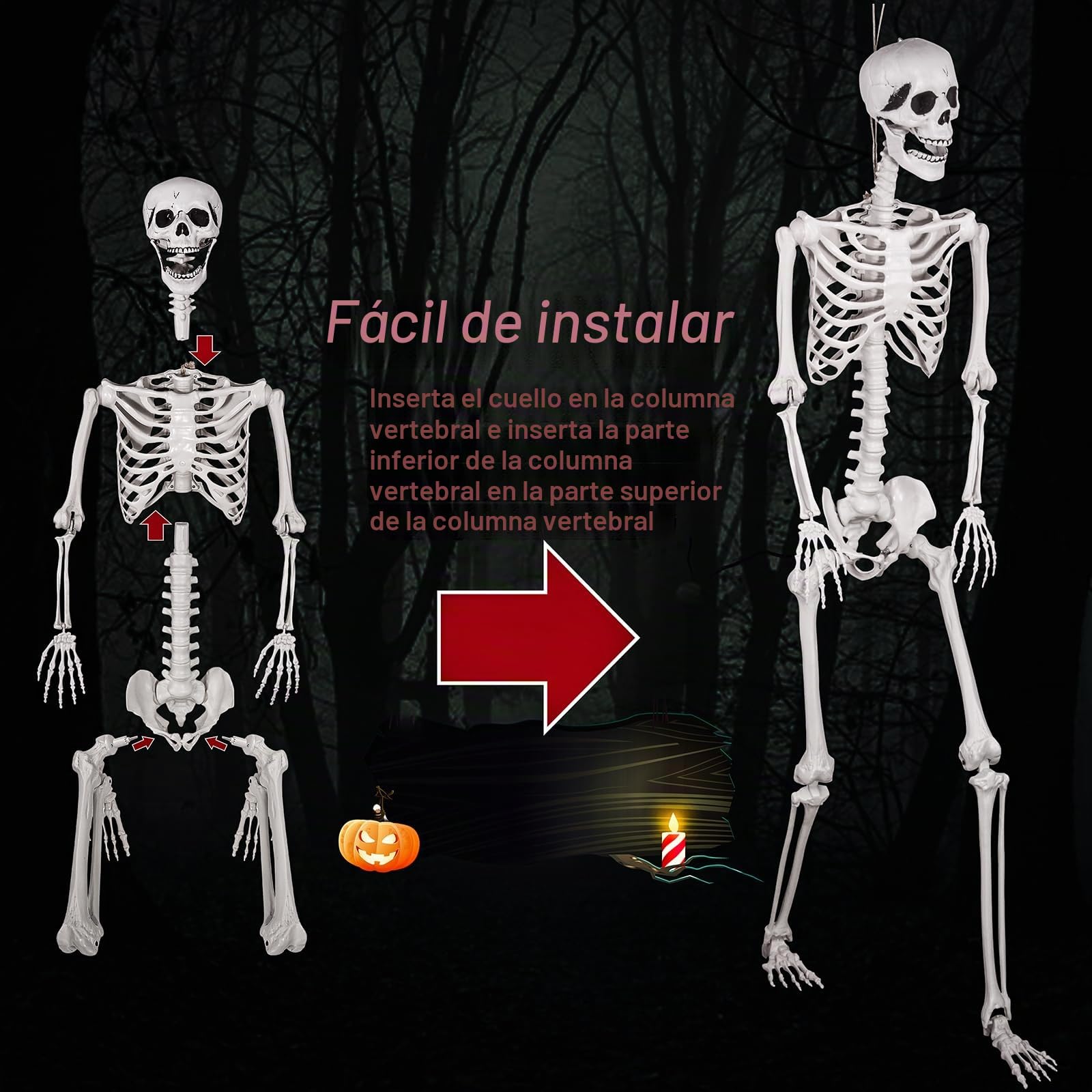 Esqueleto de Halloween de tamaño Natural, 180 cm, Esqueleto de Cuerpo Entero con articulaciones móviles para Accesorios de Halloween, decoración de Fiesta Espeluznante (2piezas)
