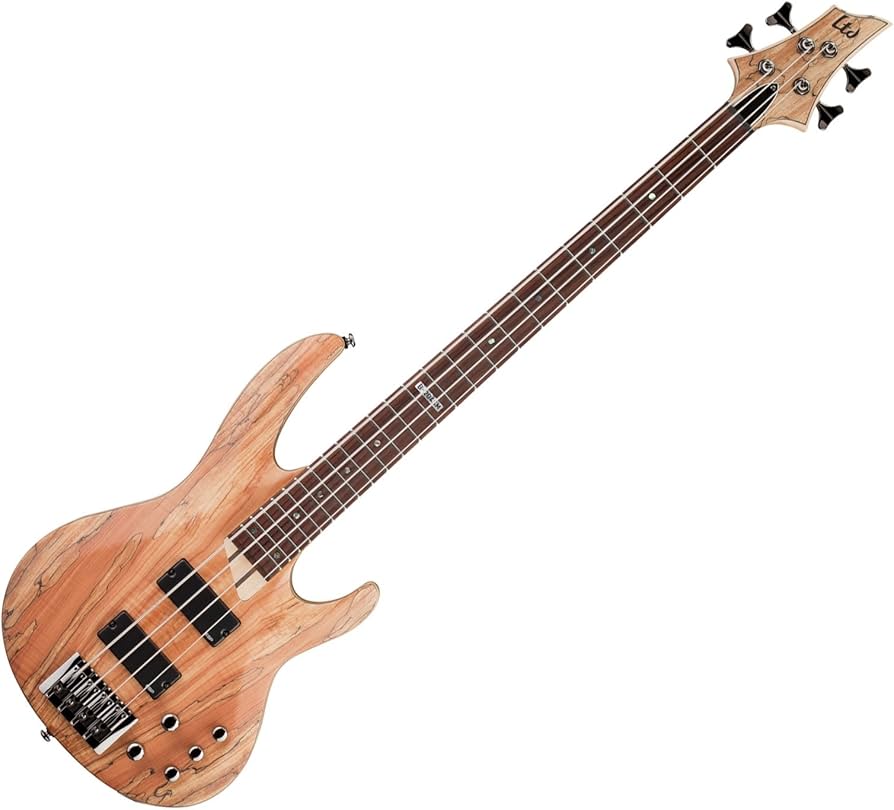 Amazon.com: ESP Guitars 4 String ESP LTD B204SM Electric Bass