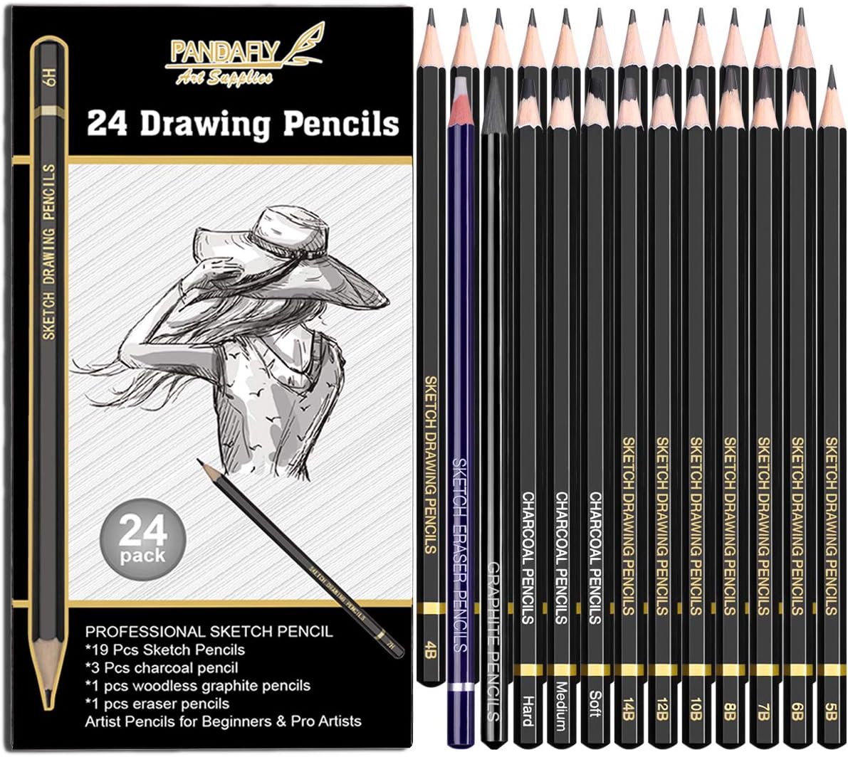PANDAFLY 24 Piece Drawing and Sketching Pencil Art Set: Perfect for Beginners, Kids or Any Aspiring Artist - Includes Graphite Pencils and Charcoal Pencils, Woodless Pencil and Erasers Pencil