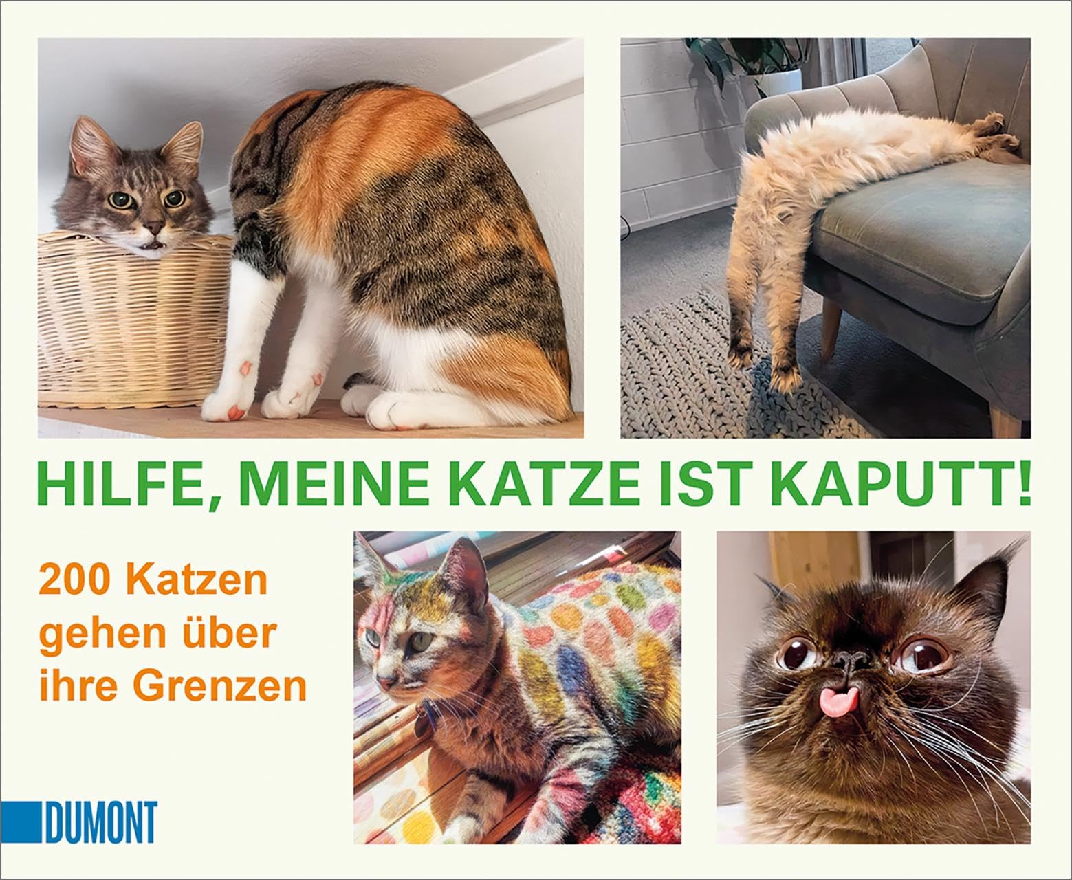 Hilfe, meine Katze ist kaputt: 200 Katzen gehen über ihre Grenzen