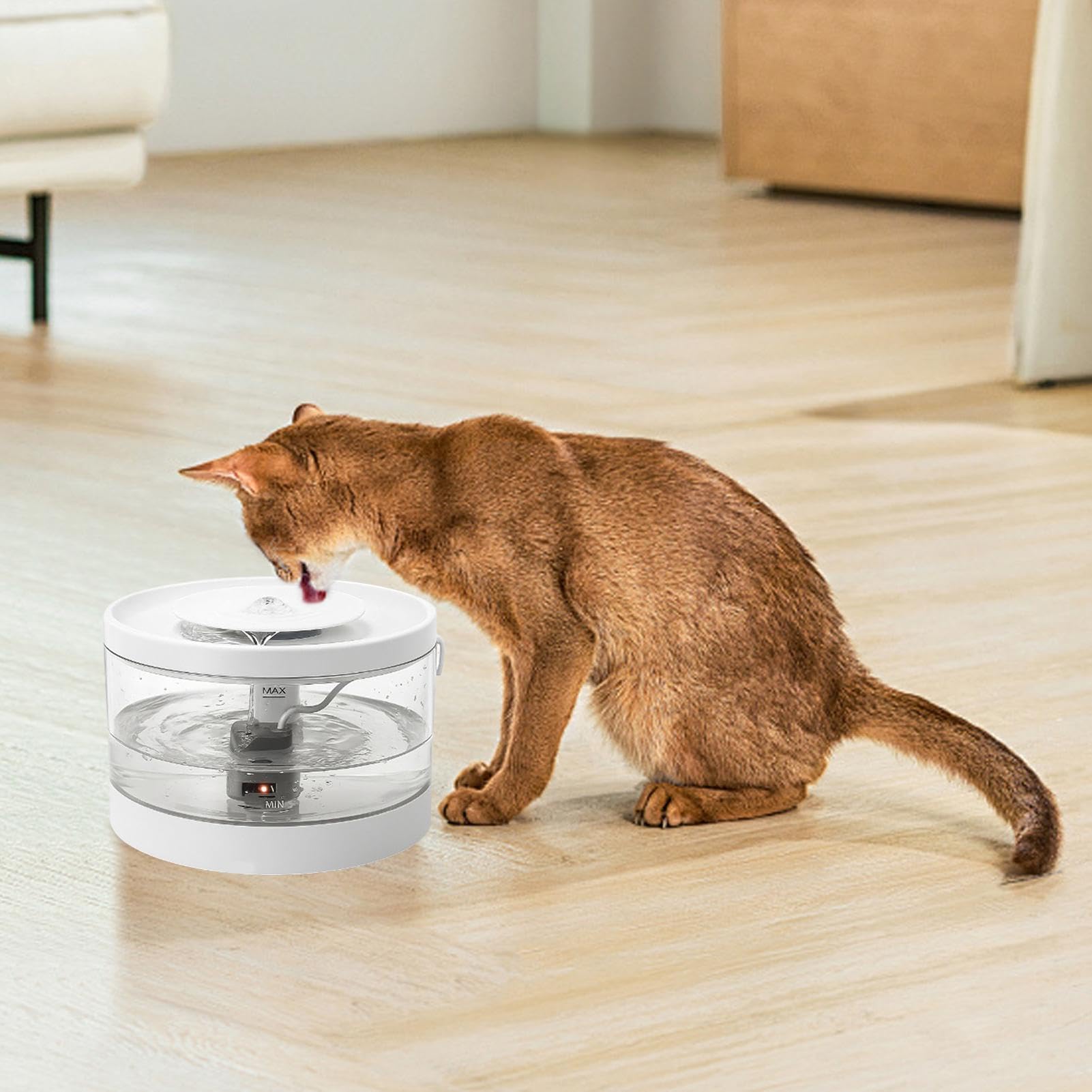 Distributore D'Acqua Per Animali Distributore USB Con Filtro | Fontana Elettrica Per Adatto Ad Animali Domestici Gatti Cuccioli Casa Soggiorno Pavimento Angolo