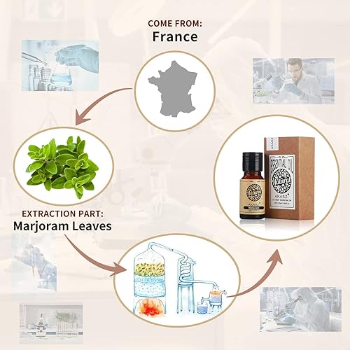 Miniatura 2 de AKARZ Aceite esencial de mejorana, natural, orgánico, puro, terapéutico, de primera calidad, aceites de mejorana para el cuidado del cabello de la