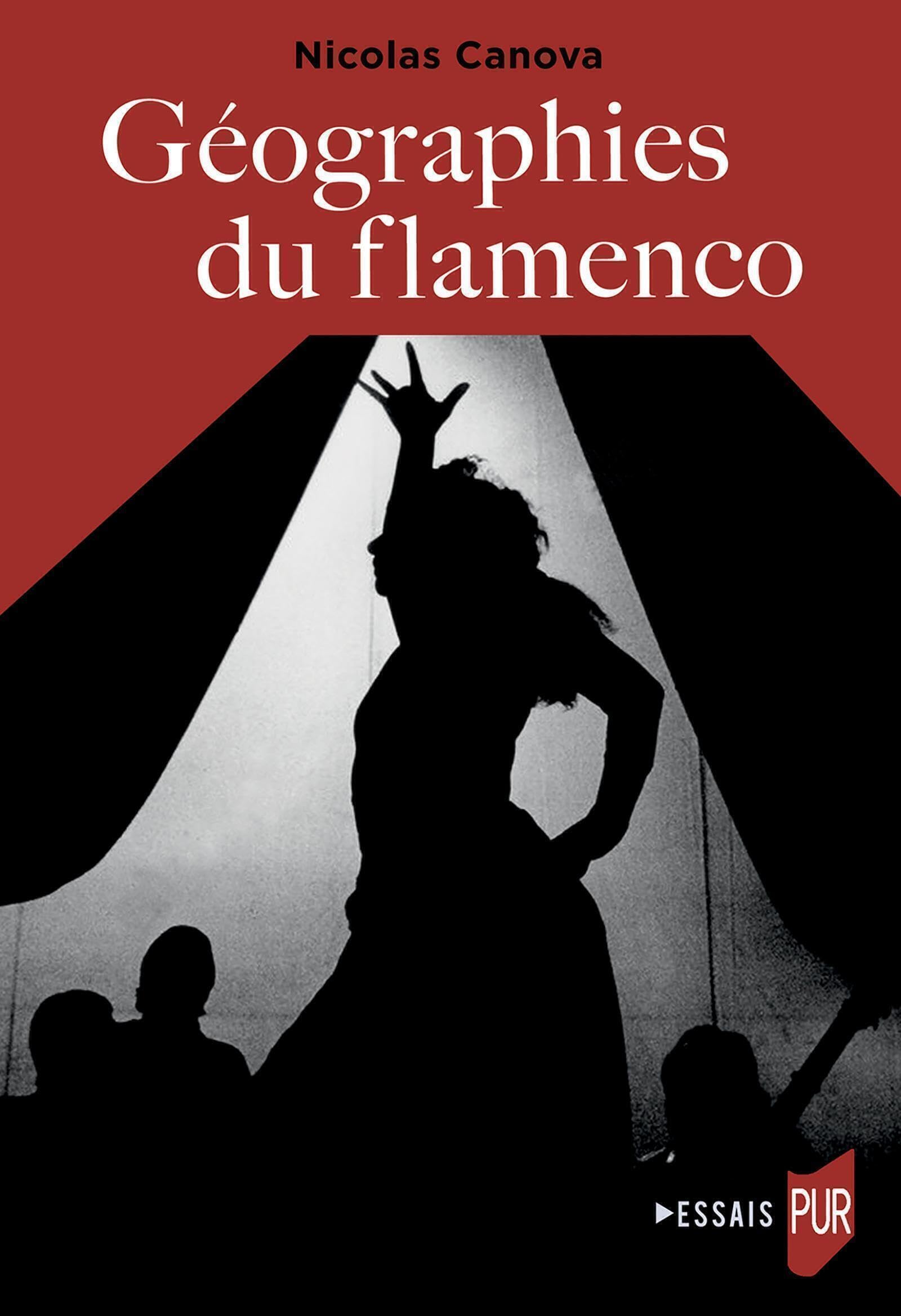 Géographies du flamenco livre de référence sur l'histoire et les territoires de cet art