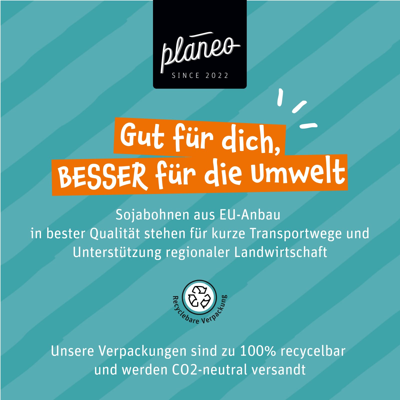 Planeo Tempeh Natur 6x200g - Beste Qualität - Lange, ungekühlt haltbar - Soja aus der EU - Planeo (6 x 200g)