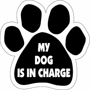 Imagine This Paw Car Magnet, My Dog is in Charge, 5-1/2-Inch by 5-1/2-Inch