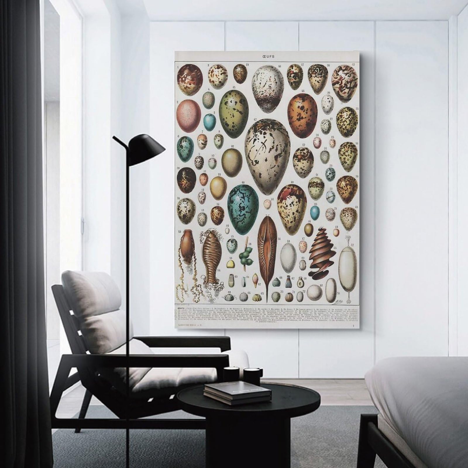 Junmoney Birds Eggs Canvas Art Print 16x24inch(40x60cm), for Feature Walls in Flats Or Modern Rooms, Ideal for Building A Coordinated Art Wall