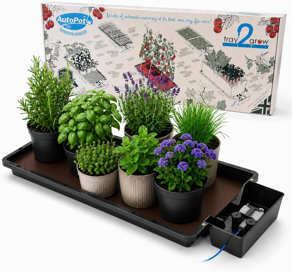 Happy Hydro Tray2Grow System - Standard Tray2Grow with No Tank - Self-Watering, Gravity-Fed Hydroponic Indoor System, Black