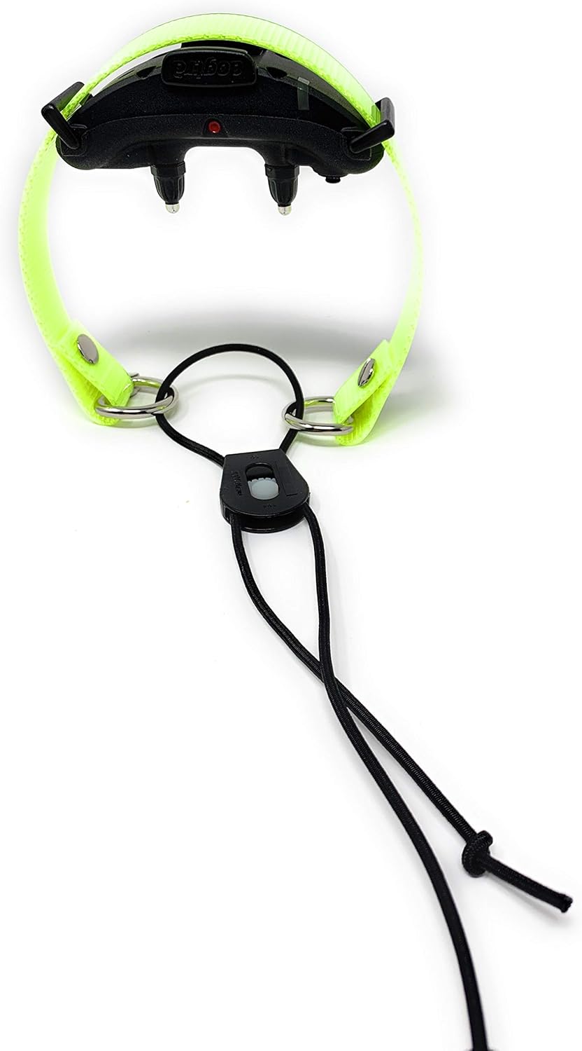 Sparky Pet Co - ECollar Replacement Strap - Bungee Dog Collar - Waterproof - Adjustable - Secure Nexus Wheel Lock - for Electronic Training & Invisible Fence Systems - 3/4" (Yellow)
