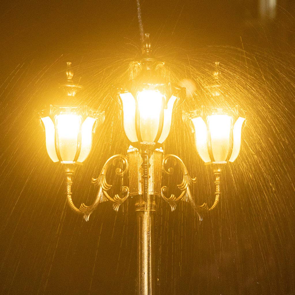 Columna de luz para exteriores, impermeable, para exteriores, patio, jardín, pasarela o decoración, poste de luz dorado con paneles de luces europeas de vidrio transparente, 3 cabezales