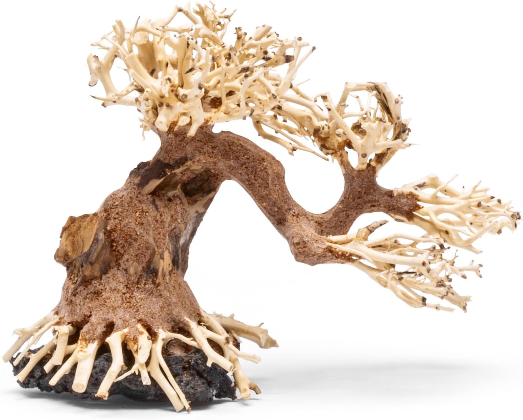 Bonsai - Handcrafted Hardscape Driftwood for Aquarium, Terrarium, Vivarium, Natural Aquascape Hardscape Decorations, Aquascaping Hardscape for Live Aquatic Plants - 006, Medium