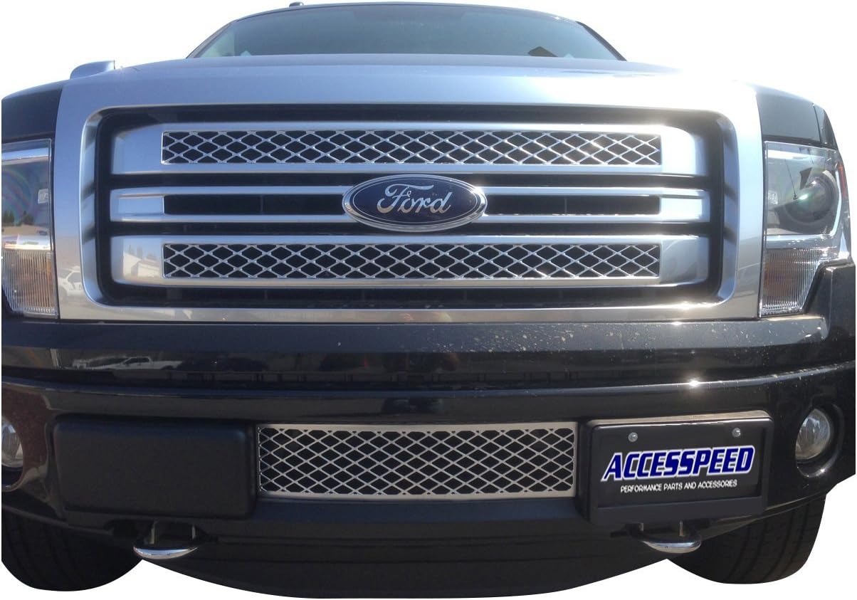 Chrome Grille - Accesspeed Durable OEM Style ABS Plastic LOWER BUMPER GRILLE Insert - Compatible with 2013 Ford F150 Trucks
