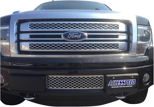 Rejilla cromada  Inserto de rejilla de parachoques inferior de plástico ABS duradero estilo OEM  Compatible con camiones Ford F150 2013