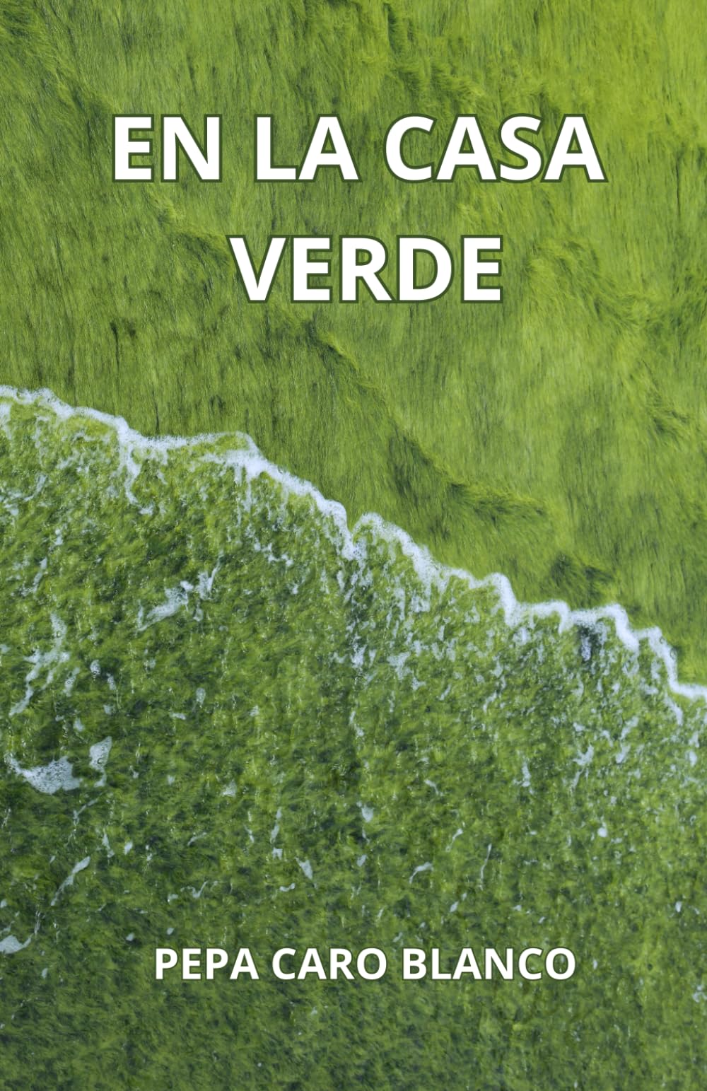 En la casa verde: poesía
