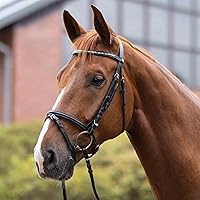 Vista 4 de HORZE Weston - Brida de cuero acolchada con muserola flash y riendas de tela Brida inglesa para caballos