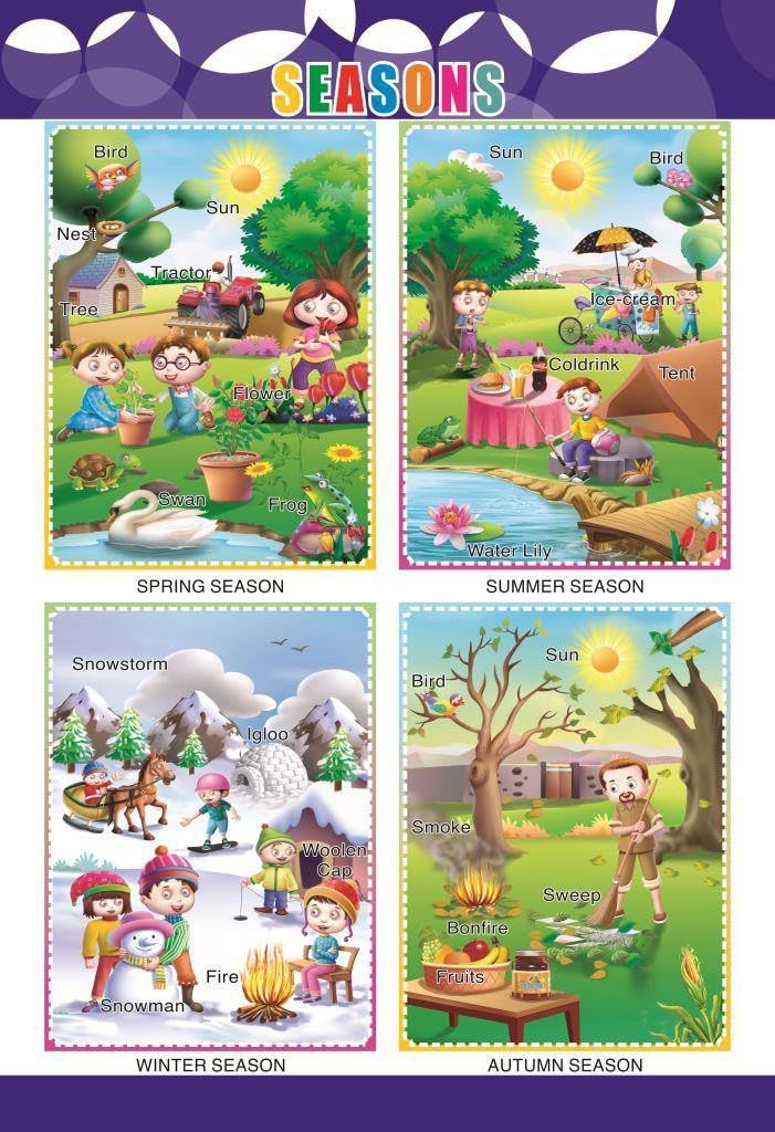 Eoi Marketing Season Wall Charts - Extremely Usefull For Growing Kids | Laminated Chart | Paper Size (13 * 19 Inch) | Paper Print (Rolled With Safety Tube) (B0C7R6JVSC) Amazon Price History, Amazon Price Tracker
