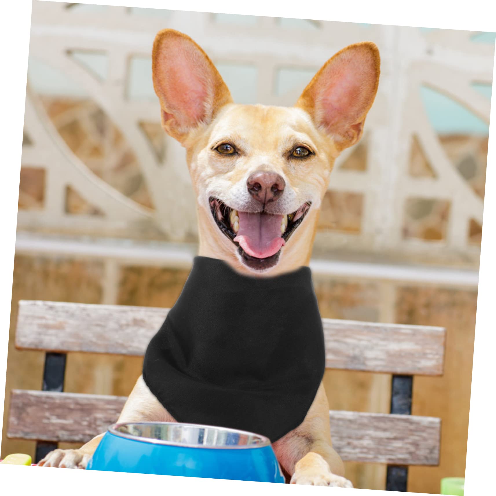 Didiseaon 20pezzi Bandana per Cani Lavabile Sciarpe Triangolari Regolabili per attività all Aperto Accessorio Comfort per Animali Domestici