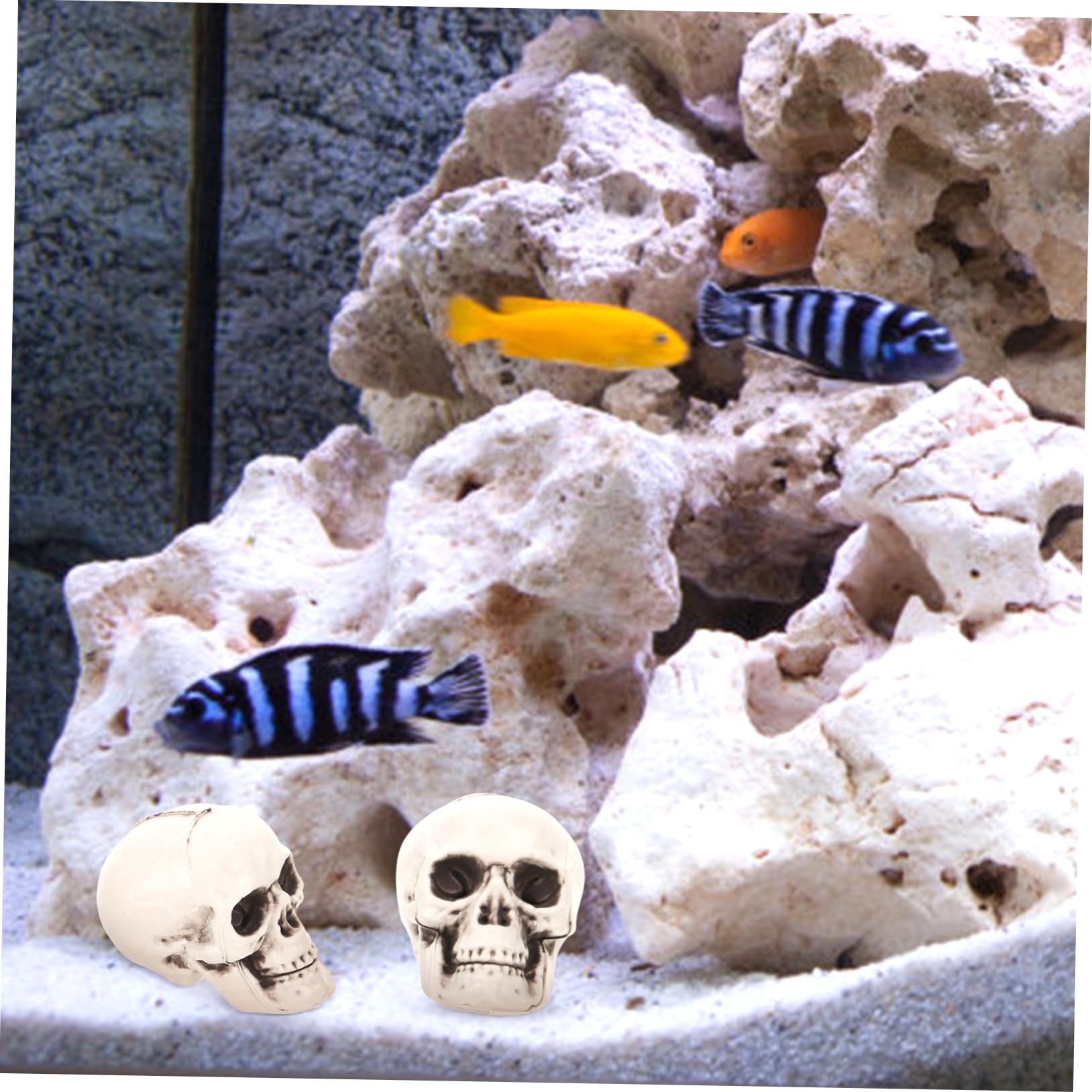 Décoration Aquarium Crâne En Résine - Cachette Pour Poissons Et Reptiles - 14 Cm - Style Réaliste