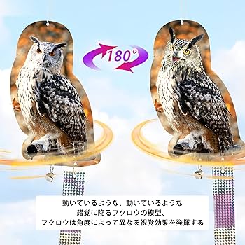 Amazon | 鳥よけ 鳩よけ 鳥よけグッズ 防鳥 カラスよけ リアルな